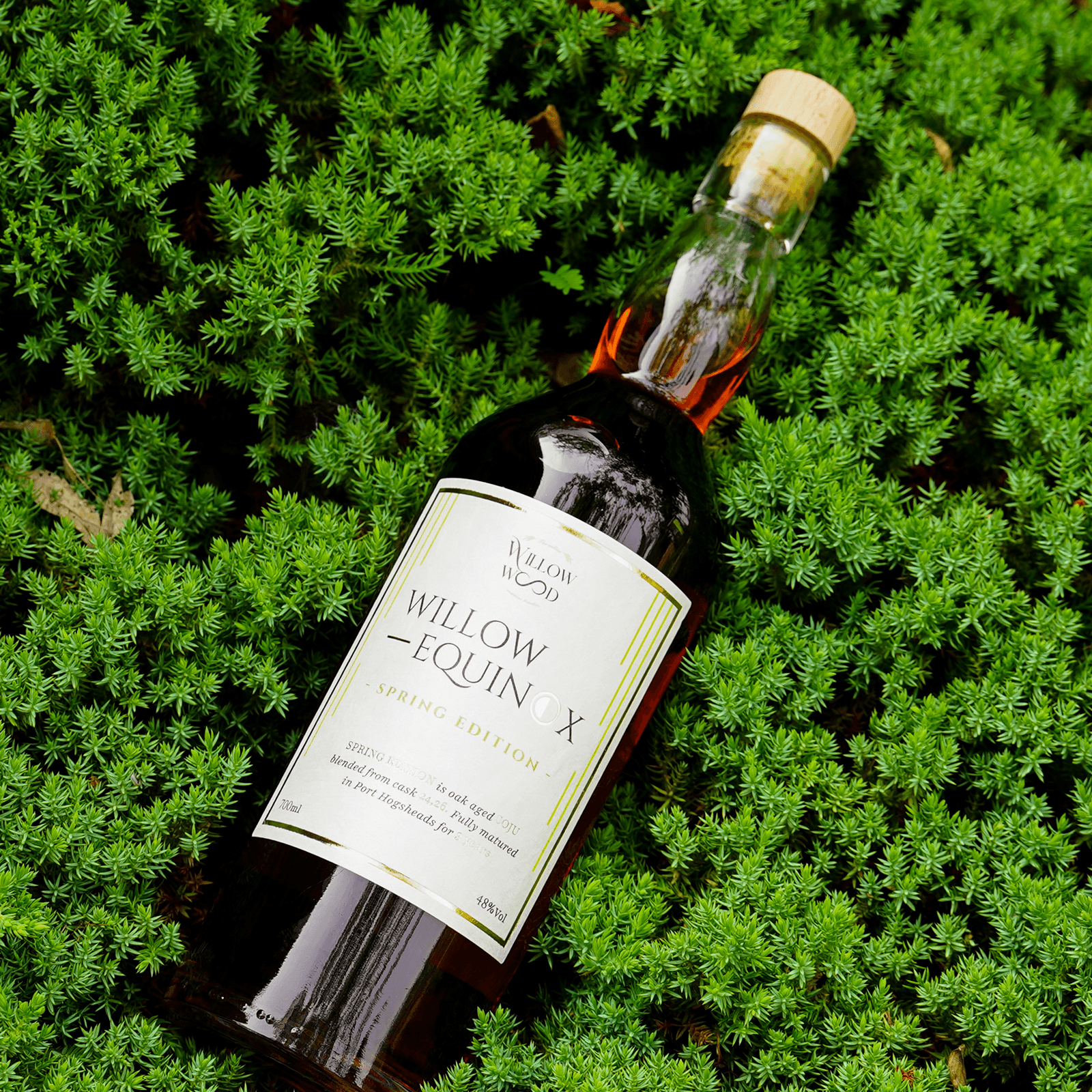 윌로우드 이퀴녹스 스프링